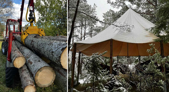 Collage - bilder på fällt timmer och en skogsmaskin samt ett eventtält utomhus i vinterskog, Foto: Foto: Ellen Nystedt.