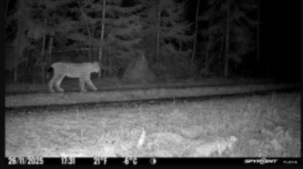 lo passerar Länsstyrelsens kamera