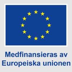 EU-flagga med tolv gula stjärnor i cirkel på blå bakgrund