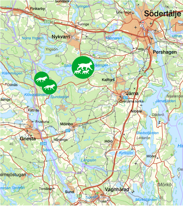 Karta över området söder om Södertälje med markeringar för rovdjur