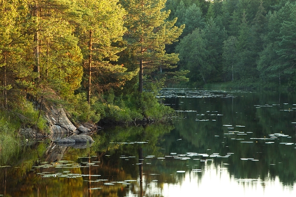 Spegelblank sjö. Foto: Martin Fransson.