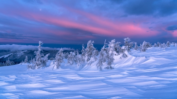 Foto: Daniel Mirlea/ Unsplash. Vackert belyst vinterlandkap med snö, berg och rosafärgad himmel