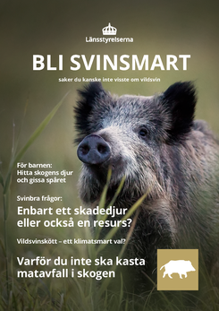 Framsidan på Bli svinsmart.