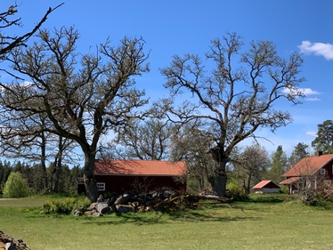 Gård.