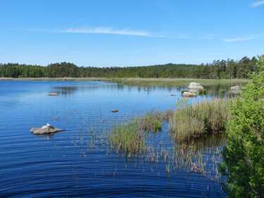 Sjö.