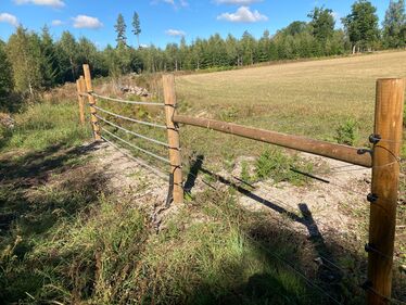 Rovdjursavvisande stängsel. 