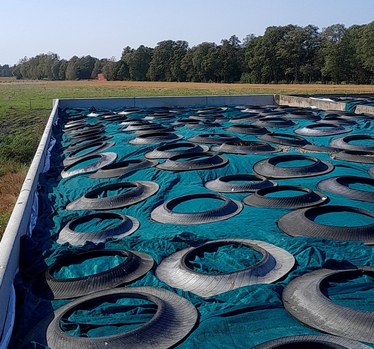 Plansilo med väl täckt ensilage.