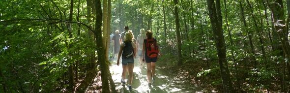 Grupp människor vandrar på skogsstig i solsken.