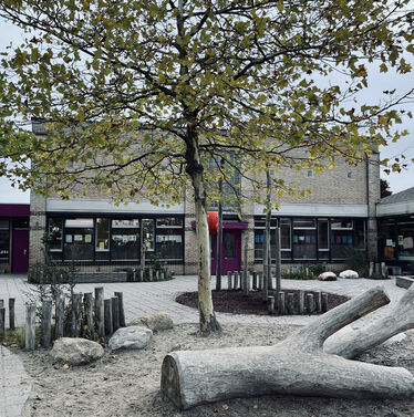 En grönskande skolgård.