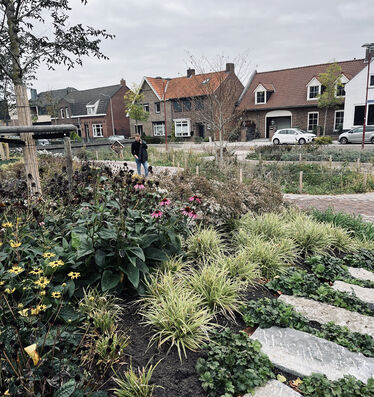 Vacker plantering med gångstenar igenom.