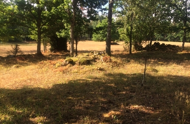 Torkad betesmark