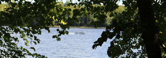 En vacker bild på lövverk i förgrunden och en sjö i bakgrunden.