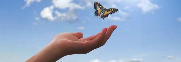 En fjäril lyfter mot himlen från en utsträckt hand.