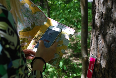 En person med karta och mobil i en solig skog.