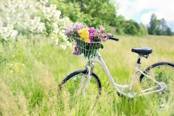 Vit cykel med blomster i korgen parkerad i en blomstrande äng.