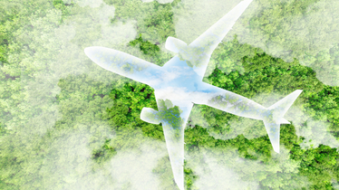 Illustration av flygplan över skog.