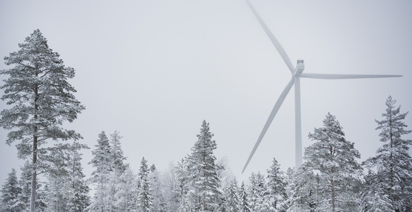 Vindkraftverk vid skog