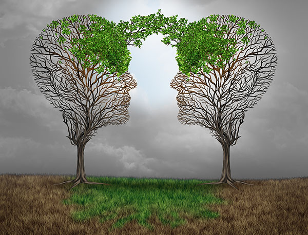 Två träd som genom samarbete växer 