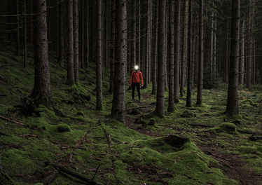 Person med pannlampa vandrar i en mörk, mossbeklädd skog.