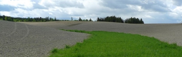 Bildtext: Anpassade skyddszoner ligger inne på fält på platser där det finns risk för ytavrinning och erosion. Foto: Eva Skarbøvik.