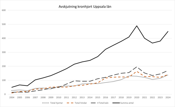 Diagram avskjutning kronhjort i Uppsala län 2004-2024