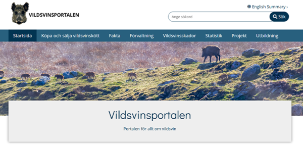 Vildsvinsportalens startsida med bild på vildsvin med ungar i öppet landskap.