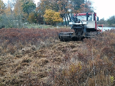 Maskin som slår våtmarken. Foto: Marcus Arnesson