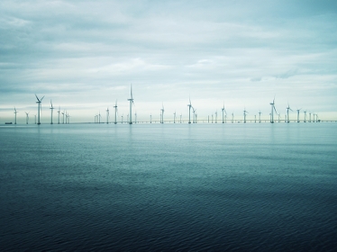 Många vindkraftverk ute till havs. Foto: Ingvar Lagefelt