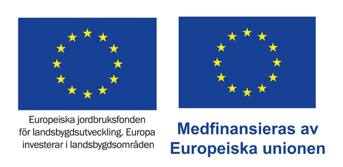 Logotyper för EU-finansierade program