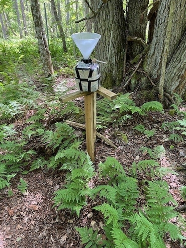 Enkelt väderstationinstrument placerat i en skogsmiljö.