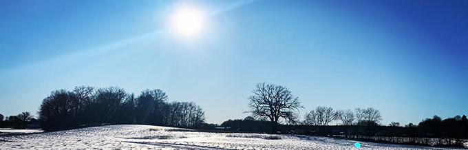 vintersolsken över snöiga åkrar och åkerholmar