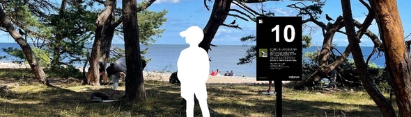 Fotokollage över strand med utställning