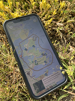 Mobil i gräset med Naturkartan på skärmen Mobil i gräset med Naturkartan på skärmen