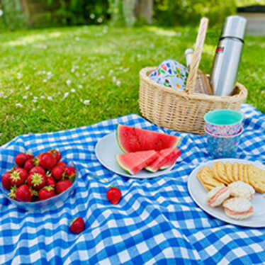 Picnicfilt med fika i gräset Picnicfilt med fika i gräset