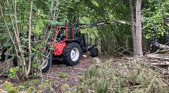 Traktor som avverkar i skog