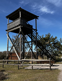 Fågeltorn