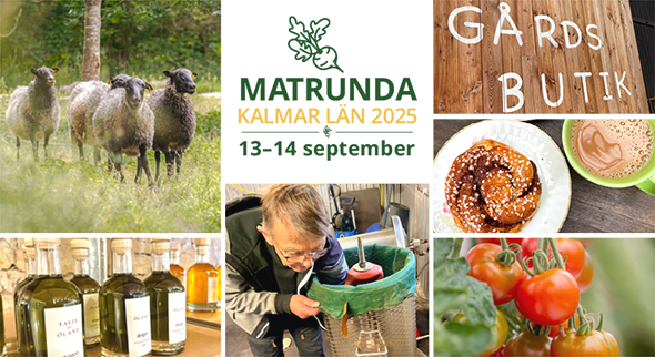 kollage av bilder med mat och djur