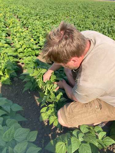 Man som sitter på huk i bönfält