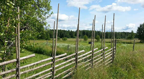 Trägärdesgård i blommande landskap
