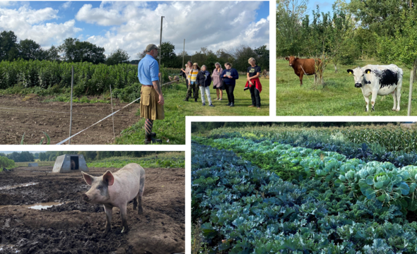 Fyra bilder i kollage. Uppe till vänster man som pratar inför en åhörarskara. Uppe till höger kor på bete. Nere till vänster gris i utemiljö. Nere till höger växande kål.