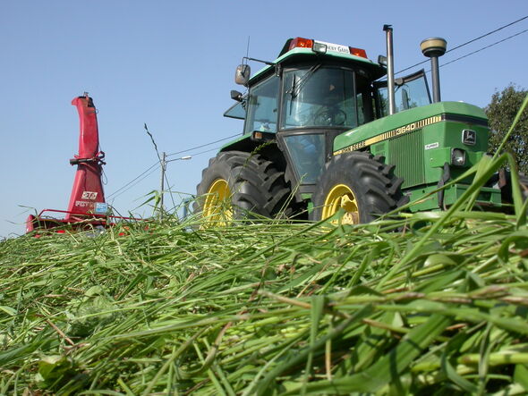 Traktor som kör i vallskörd
