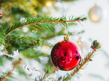Bild på röd julgranskula i gran