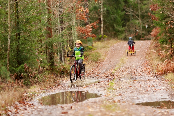 Två pojkar cyklar på en skogsväg med höstlöv och vattenpölar
