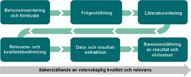 Figur som visar arbetsgången för institutets systematiska forskningssammanställningar