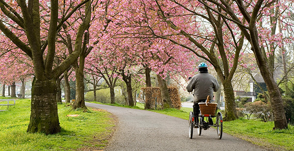 Foto: AdobeStock / Blickfang