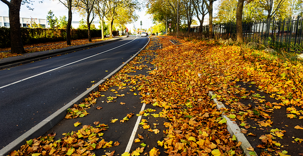 Höstlöv på cykelbana. Foto: Serrnovik / Mostphotos.com