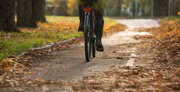 Höstlöv på cykelbana. Foto: Katja Kircher / Mostphotos.com