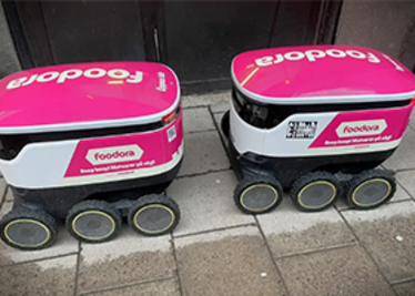 A cute – or perhaps annoying – feature in the cityscape? Photo: Daniel Rudmark