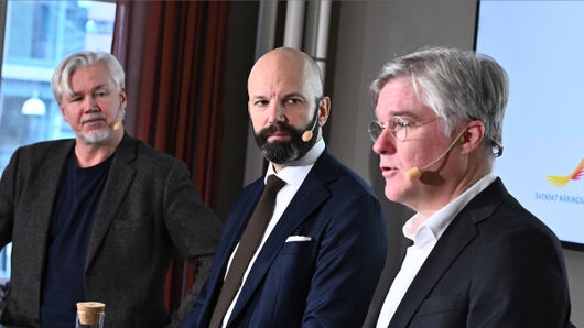 Två år med miljonsatsning mot arbetslösheten – gav 85 jobb