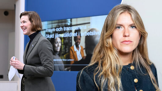 ”Regeringen har handlagt lönetransparensdirektivet nonchalant”